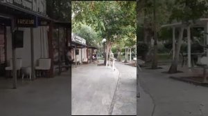 обзор отель Labranda Alantur/review of Labranda Alantur Hotel Alanya September 2023 #travel