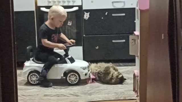 ДТП. Кот или Тимофей.mp4 смотреть онлайн