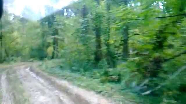 Выезд из леса (Скоротово) смотреть онлайн
