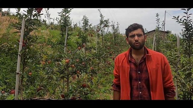 Gaurav Sharma founder of the DYO Organic Village Resort explains about High Density Apple Plantatio смотреть онлайн