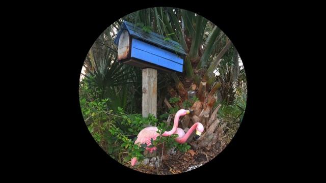 Flamingosis - Mood Provider Vol. 4 (Full Mixtape) смотреть онлайн