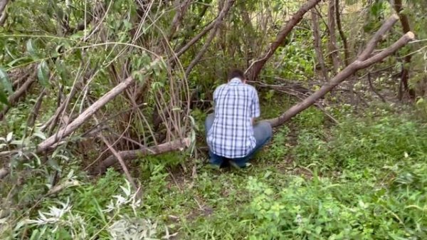 07 лес, доски, пила silky bigboy, терраса