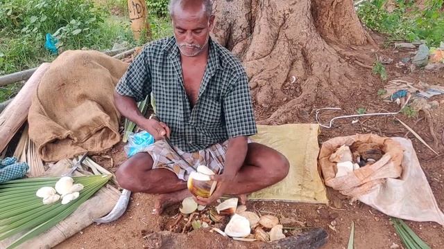 நுங்கு | Nungu | Palm Fruit Peeling | Nungu Cutting Skills | Ice Apple. смотреть онлайн