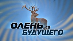 ОЛЕНЬ ИЗ БУДУЩЕГО (( НЕ ОПОЗДАЛ ) 30 МИНУТ )