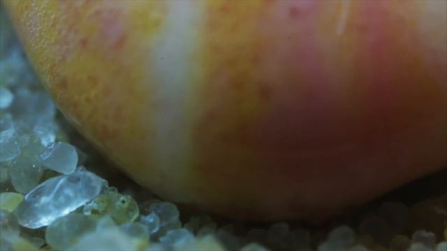 Ice Cream Melting смотреть онлайн