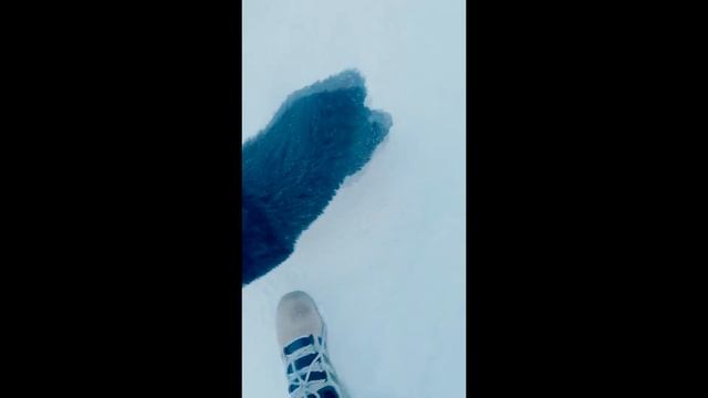 Зевс знакомится со своей территорией смотреть онлайн