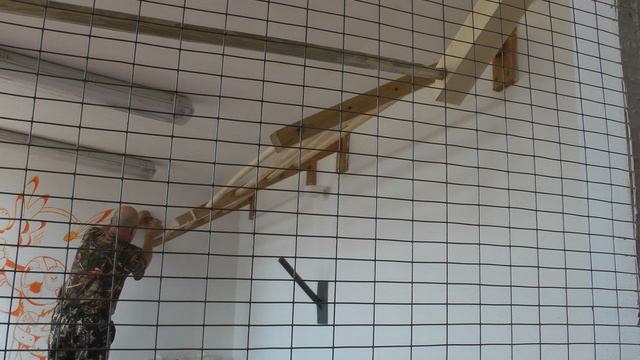 Новоселье смотреть онлайн