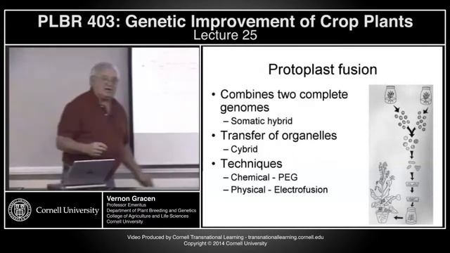plbr403 - Genetic Improvement of Crop Plants - Lecture 25 смотреть онлайн