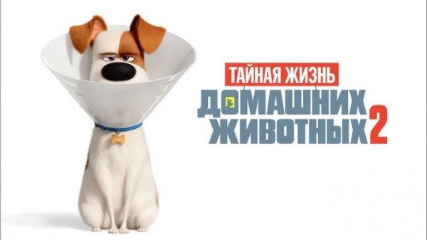 Тайная жизнь домашних животных 2 - The Secret Life of Pets 2