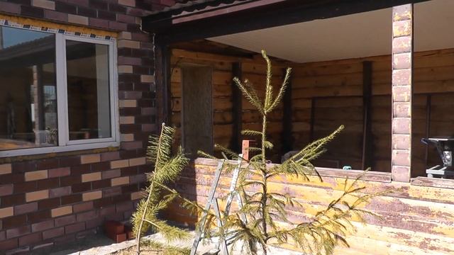 Начал делать вторую вольеру смотреть онлайн