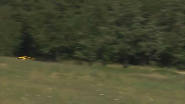 Lamborghini history - Part 5 - Lambo Gallardo HD смотреть онлайн