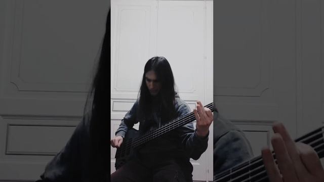 Humanity's Last Breath - Harm (Bass cover - Drop E0) смотреть онлайн