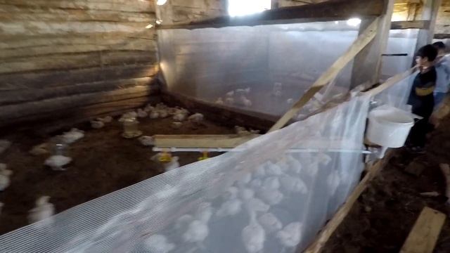 Visit to Alatorka, Tambovskaya Oblast смотреть онлайн