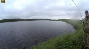 Рыбалка в августе (черное озеро).