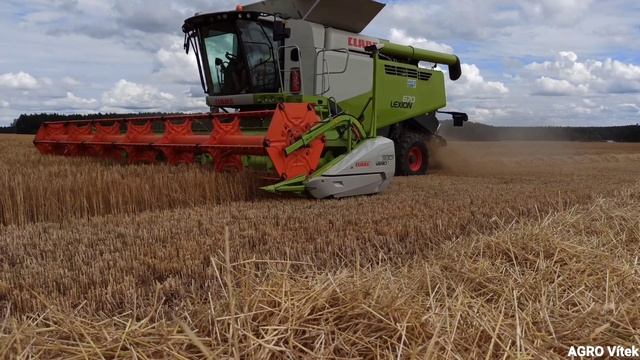 Sečení ječmene🌾 Claas Lexion 670 a Claas Axion 840 s ZDT Nové Veselí Mega 20 смотреть онлайн