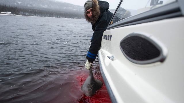 A Deadly Shade of Green Tainted Water Fears смотреть онлайн