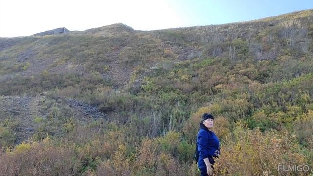 СОПКА ХОЛОДИЛЬНИК -ПРОГУЛКА, 13.10.24. ВЛАДИВОСТОК. смотреть онлайн