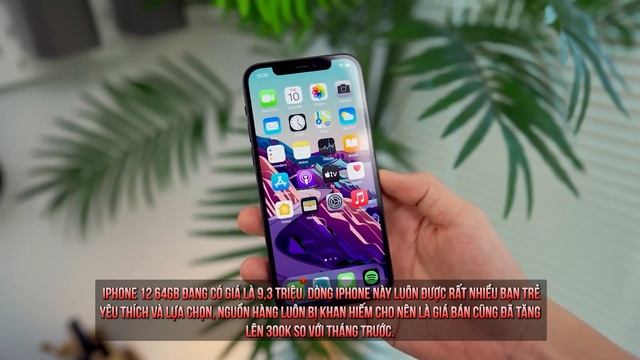 IPHONE THÁNG 9 RỚT GIÁ KINH HOÀNG CHƯA TỪNG CÓ - CẬP NHẬT BẢNG GIÁ IPHONE MỚI NHẤT NGAY !! смотреть онлайн