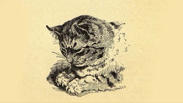 «Признания старого Петербургского кота Васьки. Часть 3» смотреть онлайн