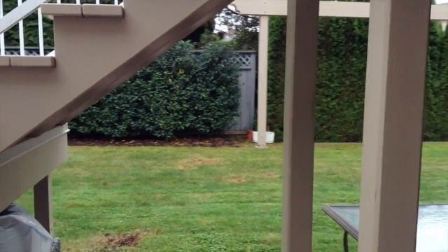 iPad Mini: Camera Test смотреть онлайн