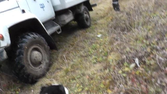 первый выезд в лес смотреть онлайн