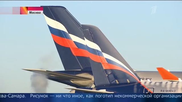 Дальневосточный леопард на самолете "Аэрофлота". Репортаж Первого канала смотреть онлайн