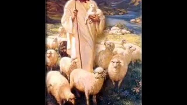 MI PASTOR EVELYN MORAN смотреть онлайн