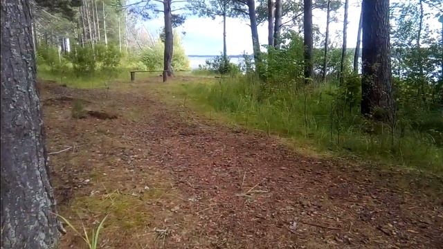 Всякое