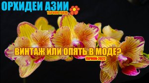 Вторая жизнь сортов?