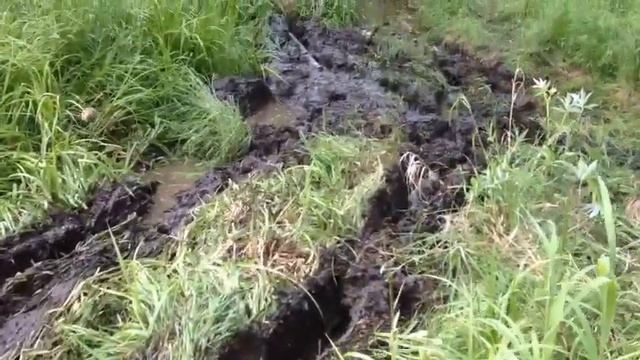 VID 20170618 WA0024 смотреть онлайн