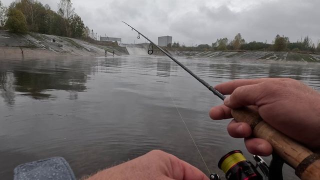 КЛАССНАЯ РЫБАЛКА НА ДОМАШНЕЙ РЕКЕ!!! РЫБАЛКА С Ronin Rush CANNONE 1-6гр. смотреть онлайн