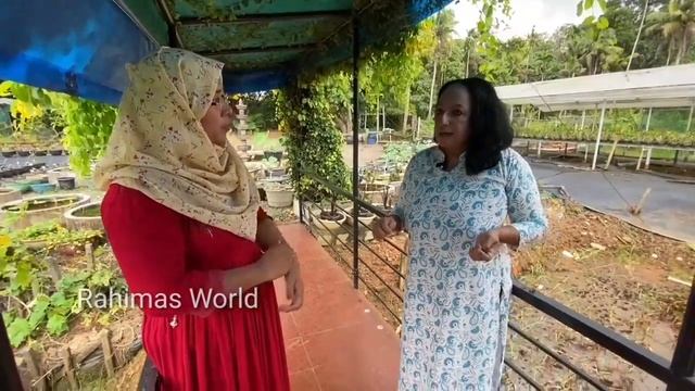 500 ൽ പരം താമരയും ആമ്പലും|| Lotus farming Kerala||how to grow Lotus plant at home||Rahimas World|| смотреть онлайн