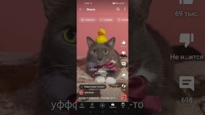 КОТИНЕТ СБОРНИК СЕРИЙ (@kotiynet)