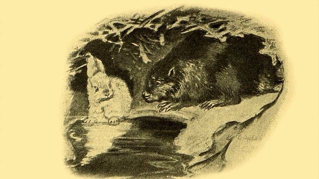 «Приключения зайчика-крошки» смотреть онлайн