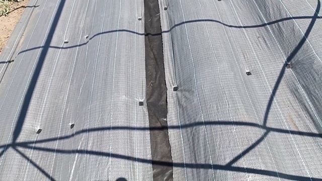 Как сделать бугры (грядки) для клубники своими руками полный обзор от А до Я 2024. Без пленки. смотреть онлайн