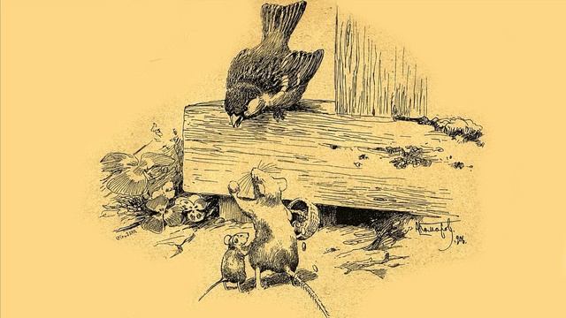 «Знай наших» смотреть онлайн