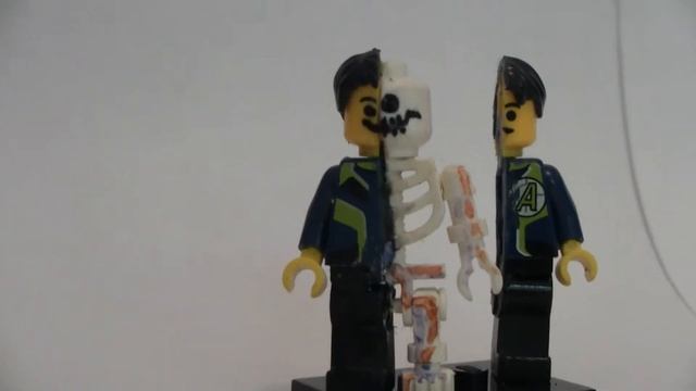 LEGO Minifigure Anatomy смотреть онлайн