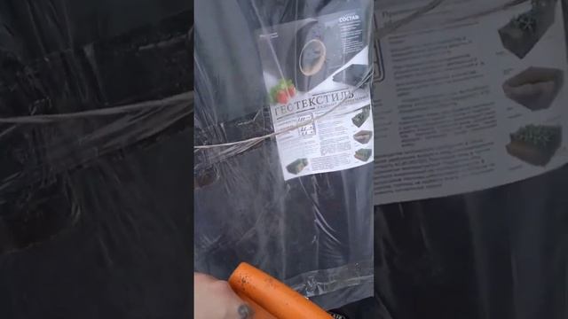 укрываем малину #малина #дача #сад смотреть онлайн