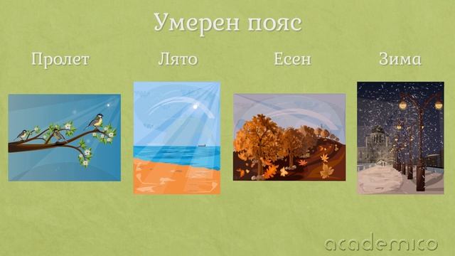 Климатични пояси и области - География 5 клас | academico смотреть онлайн