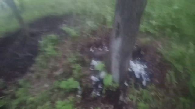 Спецоперация: браконьеры попали в засаду на «Земле леопарда» \ Poachers смотреть онлайн
