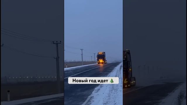 Дед мороз идёт #элвингрей #новыйгод смотреть онлайн