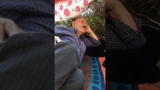 Dengbej смотреть онлайн