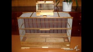 клетки Сергея Пядухова