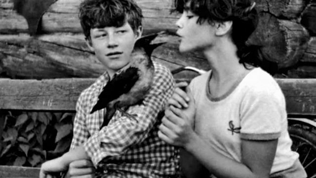 ВЕТЕР В ГОЛОВЕ... смотреть онлайн