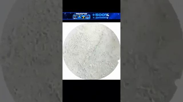 висит груша нельзя скушать. Юлия Финес смотреть онлайн