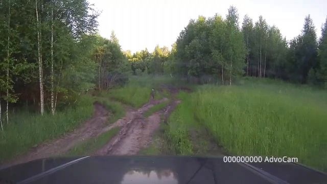 5 к.с. 2017: 1 день Богашево - за Овражным (Тенье Адмирал) смотреть онлайн