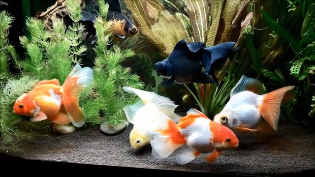 Финал 125л смотреть онлайн