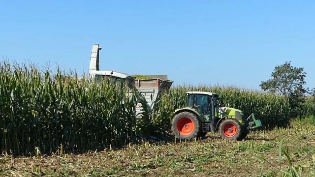 Trinciatura mais | Claas Jaguar 870 Speedstar | Claas Arion 460 | Agromeccanica Botti смотреть онлайн