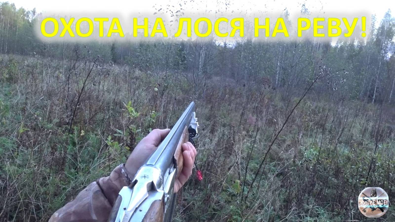 Осення охота на копытных. Охота на лося на реву смотреть онлайн