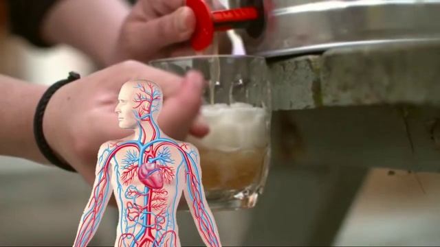جالب ترین خواص ویسکی برای سلامتی چیست смотреть онлайн